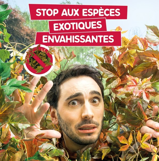 Réseaux sociaux-plante.jpg